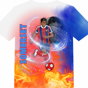 Somerset Football Fan Tee